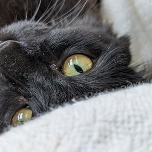 Meet your Posher, Samantha